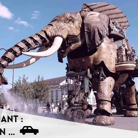 La Rayon'nantes Carquefou