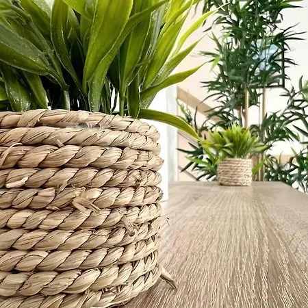 Villa La Rayon'nantes *