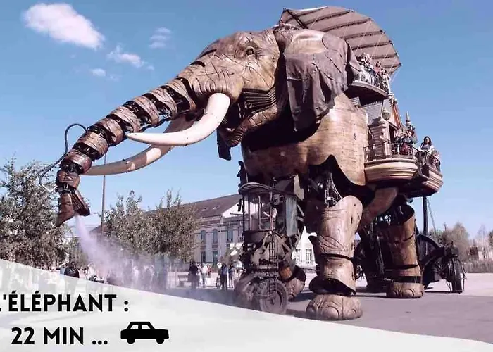 La Rayon'nantes Carquefou