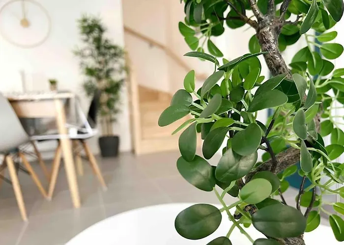 La Rayon'nantes * Carquefou